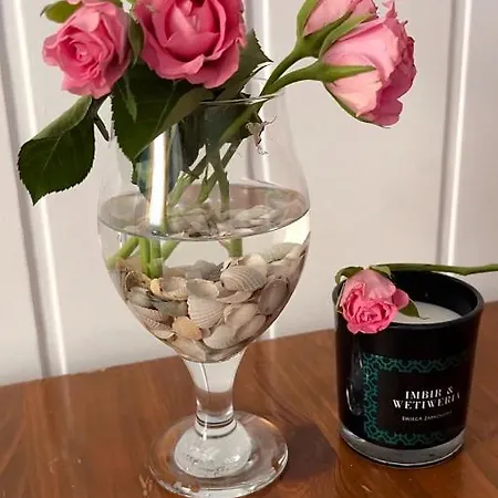 U Hanki Гостевой дом Дзивнув